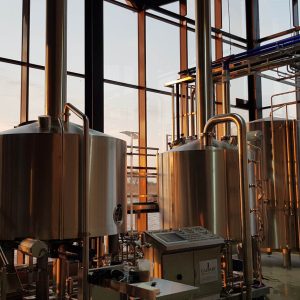 Craft brewery systems