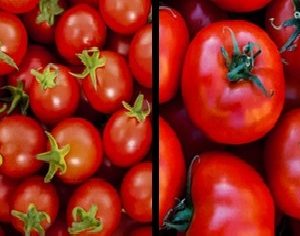Tomato Optical Sorting